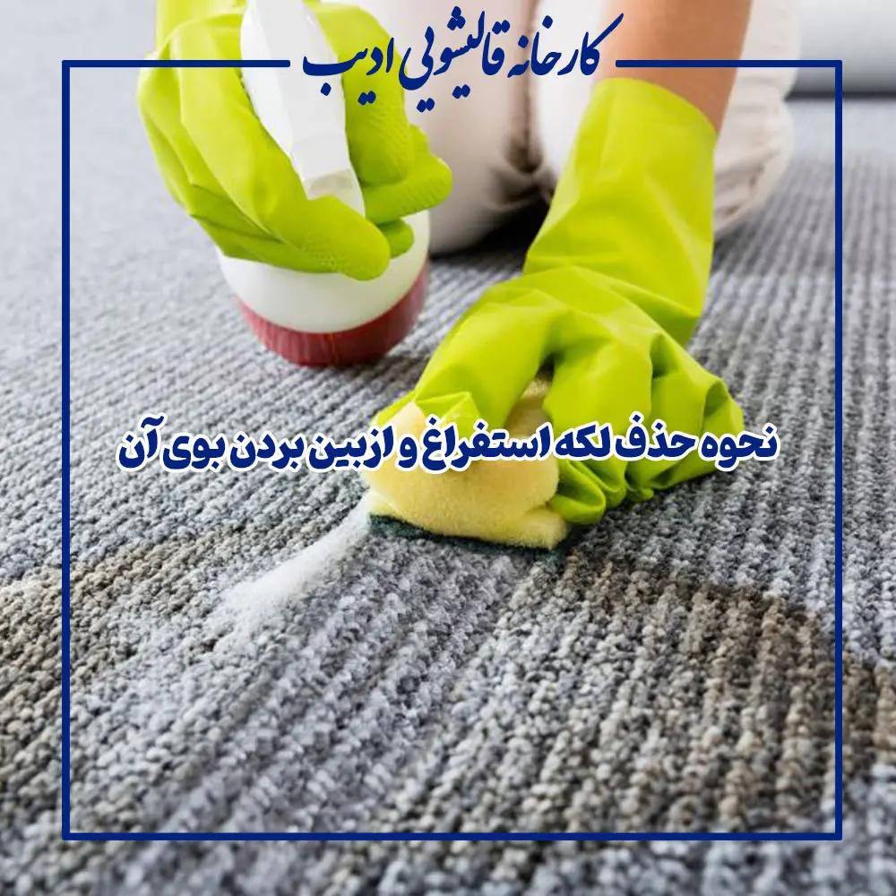 نحوه حذف لکه استفراغ و ازبین بردن بوی آن