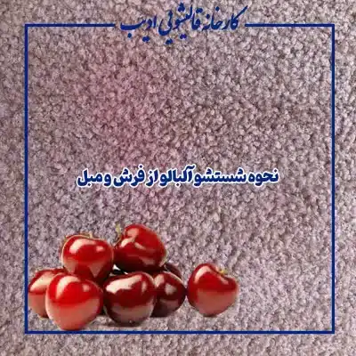 نحوه شستشو آلبالو از فرش و مبل