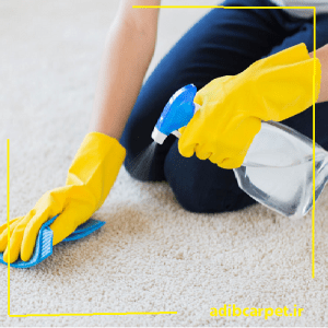 راه از بین بردن زردی ریشه فرش