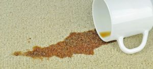 شستشوی-لکه-چای-از-فرش-قالیشویی-ادیب