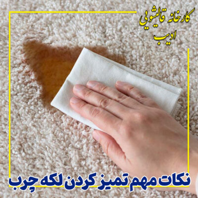 نکات مهم تمیز کردن لکه چرب