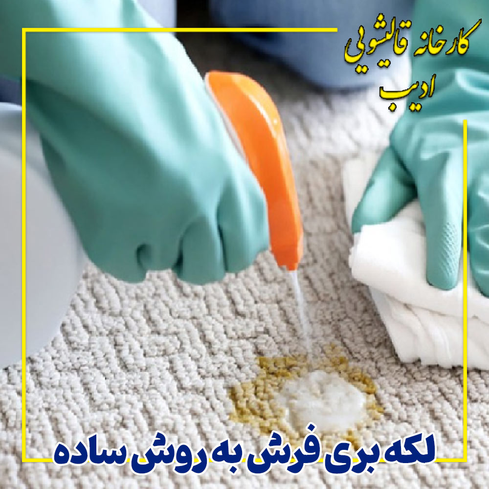 لکه بری فرش با 5 روش ساده