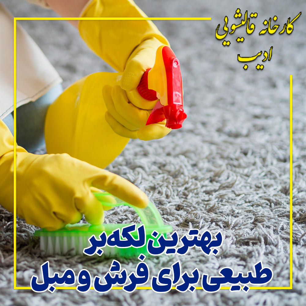 بهترین لکه‌بر طبیعی برای فرش و مبل