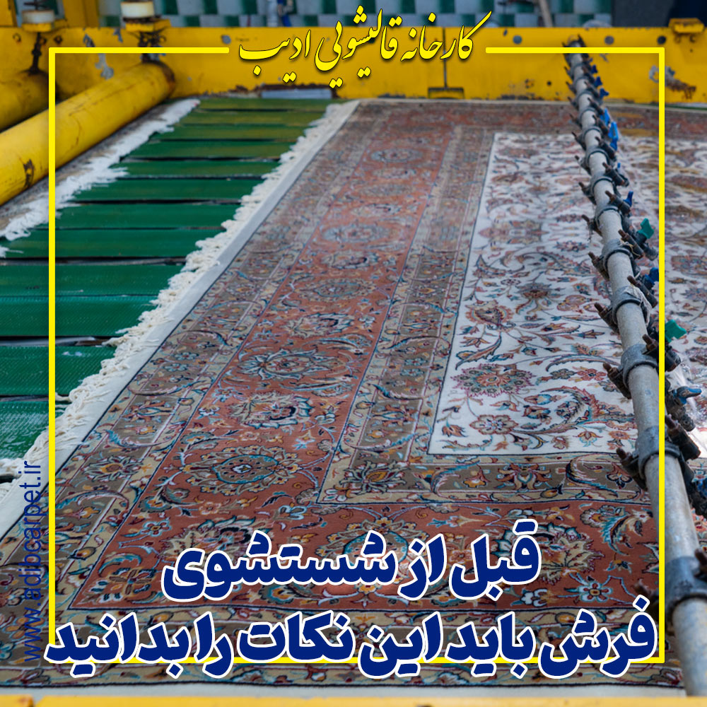 نکات مهم قبل قالیشویی