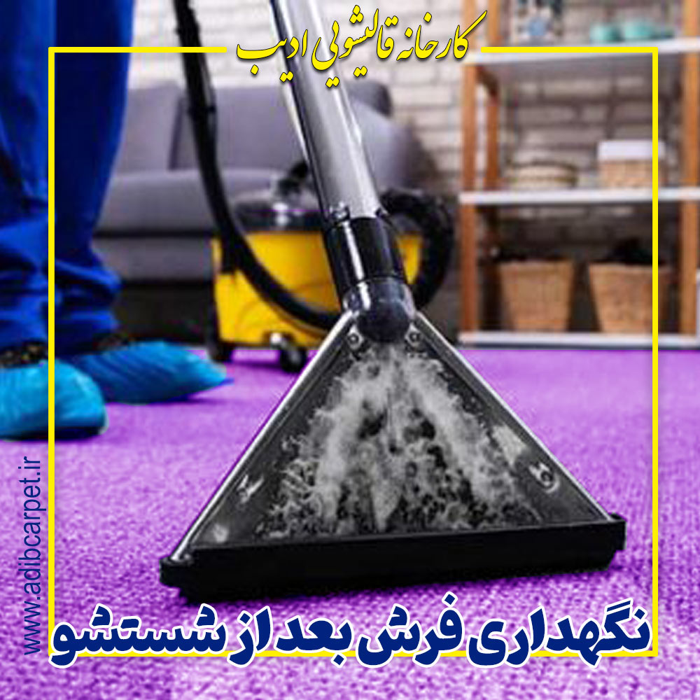 نگهداری فرش بعد از شستشو