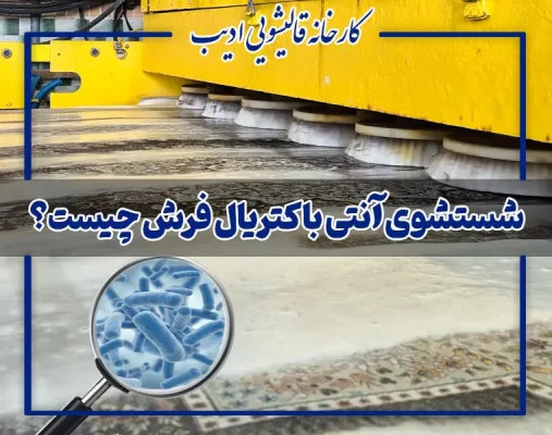 شستشوی آنتی باکتریال فرش