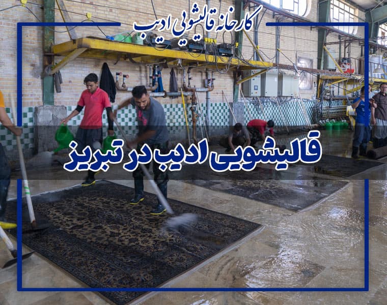 قالیشویی ادیب در تبریز