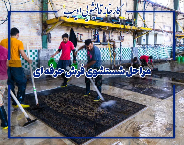 مراحل شستشوی فرش حرفه ای